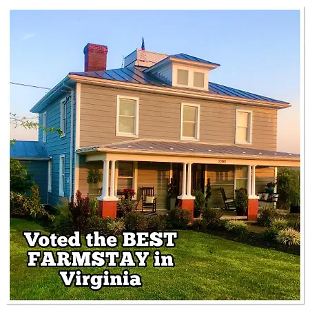 Madeline Farms Villa